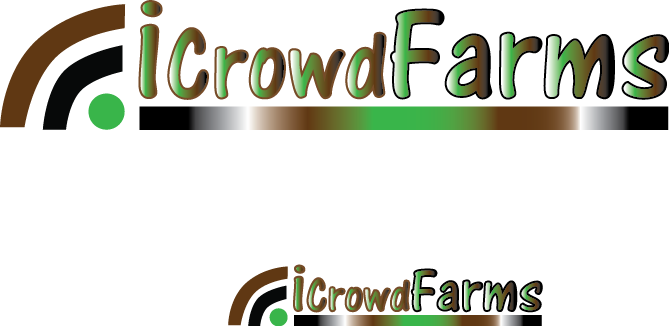 Logo Design by Creative Solutions for Nico Helmets | Design #1096999