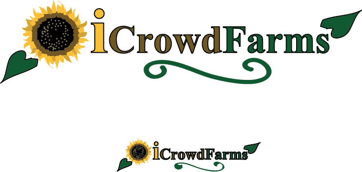 Logo Design by Creative Solutions for Nico Helmets | Design #1097017