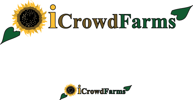 Logo Design by Creative Solutions for Nico Helmets | Design #1149536