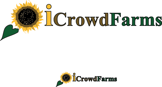 Logo Design by Creative Solutions for Nico Helmets | Design #1149538