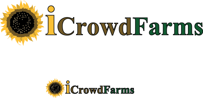 Logo Design by Creative Solutions for Nico Helmets | Design #1149540