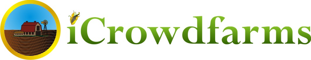 Logo Design by bogdancionca for Nico Helmets | Design #1082137