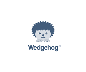 Logo Design by Aurelian Irimia