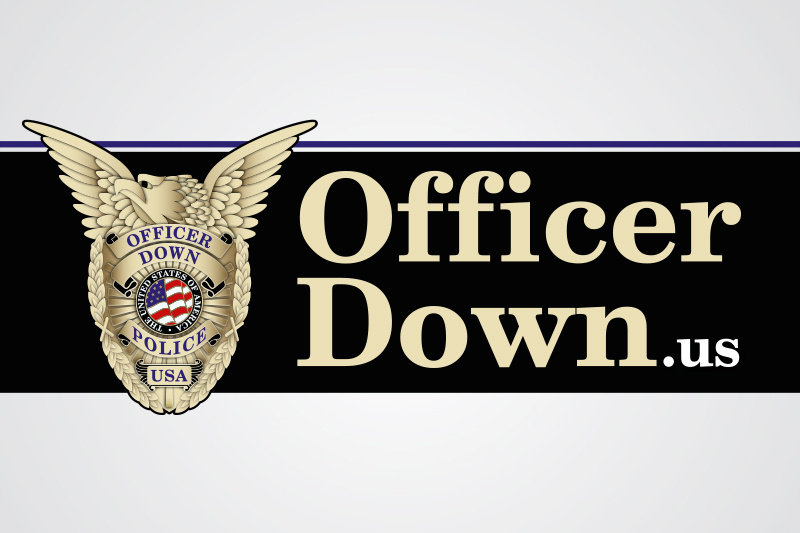 Logo Design by stealth_ferret for this project | Design #3966192