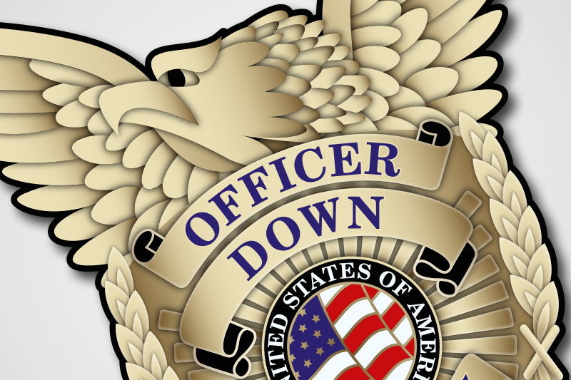 Diseño de Logo por stealth_ferret para este proyecto | Diseño #3966206