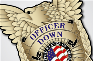 Logo Design by stealth_ferret for this project | Design: #3966206