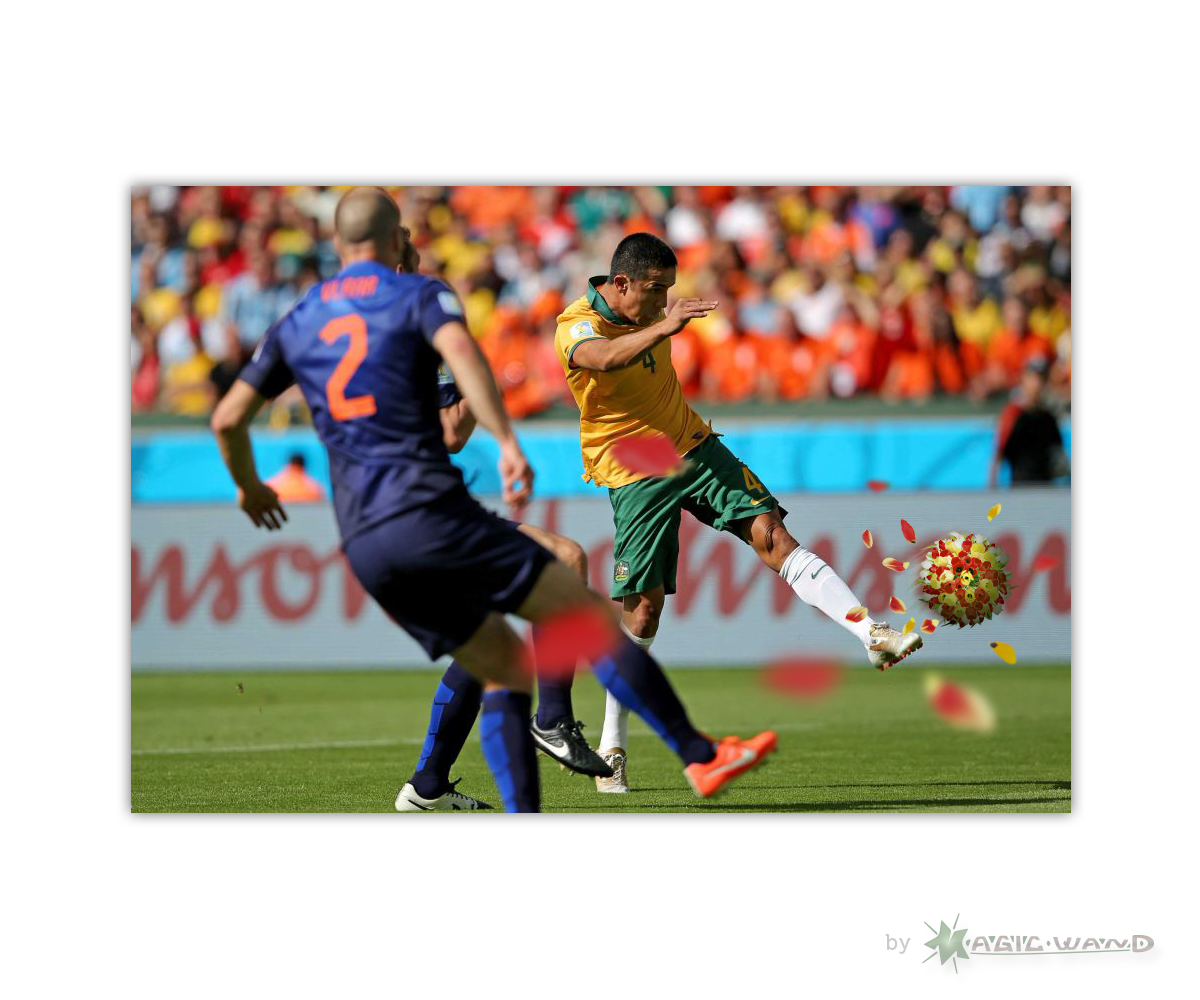 Photoshop Design by Magic-Wand for DesignCrowd LLC | Design #3985451