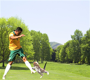 Photoshop Design by Framcismn for DesignCrowd LLC | Design: #3978762