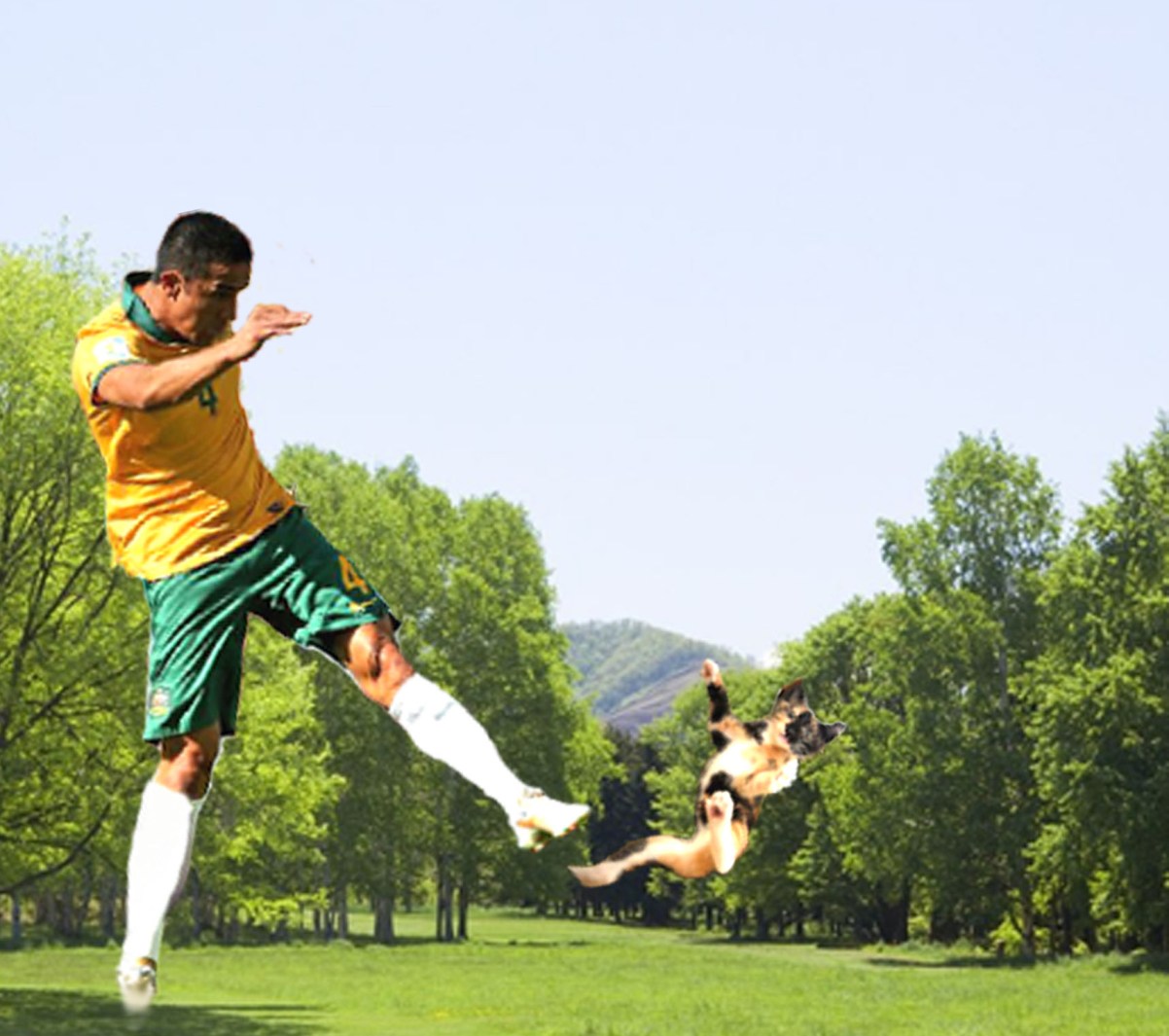 Photoshop Design by Framcismn for DesignCrowd LLC | Design #3978799