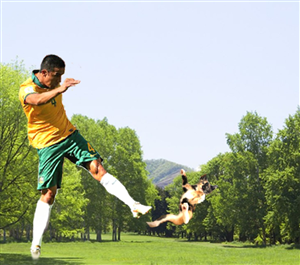 Photoshop Design by Framcismn for DesignCrowd LLC | Design: #3978799