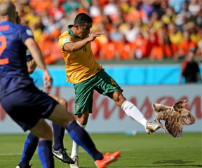 Photoshop Design by kenjie0476 for DesignCrowd LLC | Design #3961090