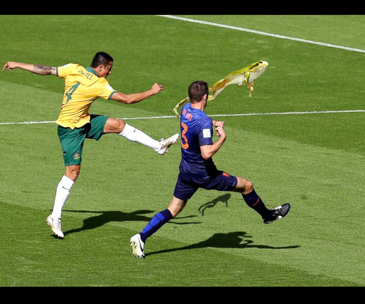 Photoshop Design by bijuak for DesignCrowd LLC | Design #3960513