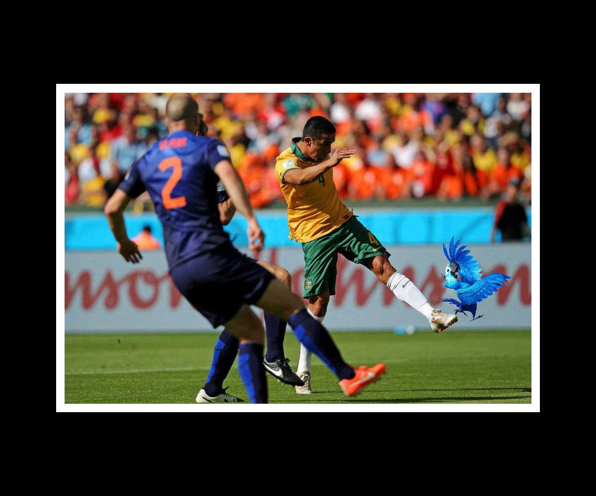 Photoshop Design by Birdesign for DesignCrowd LLC | Design #3962211