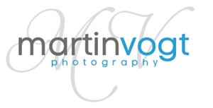 Logo Design by Modine Designs