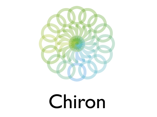 Logo-Design von Leo Design für dieses Projekt | Design #142291