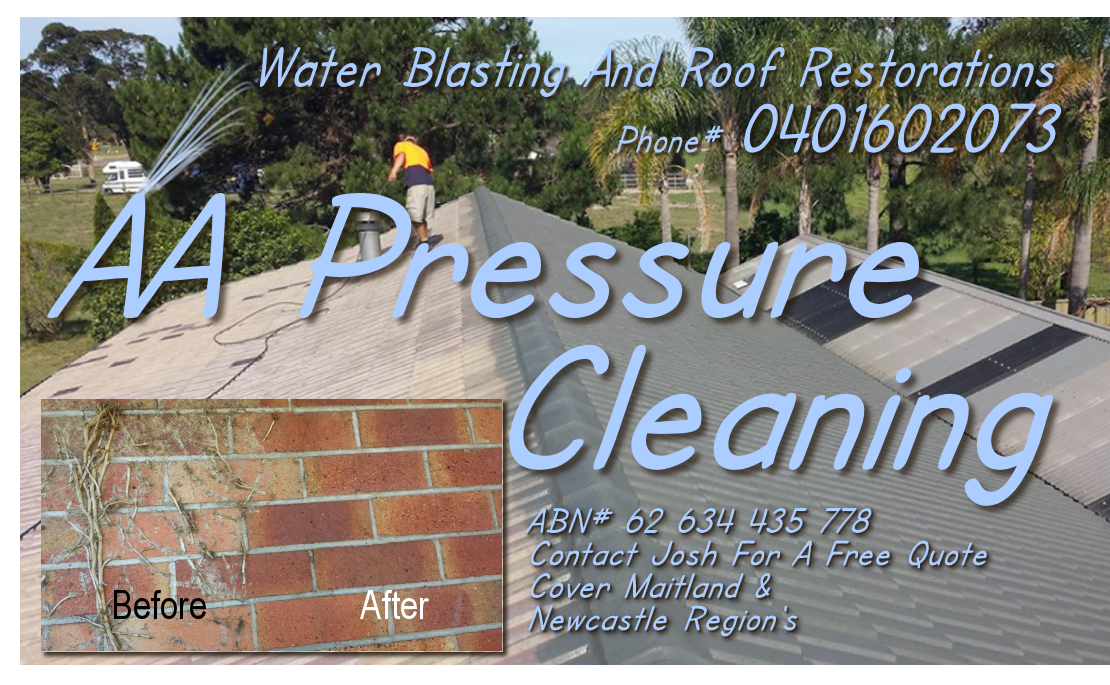 Design de Carte de Visite par Tyeise pour AA Pressure Cleaning | Design #3988323