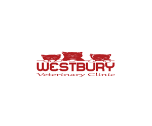 Logo Design by bradoral