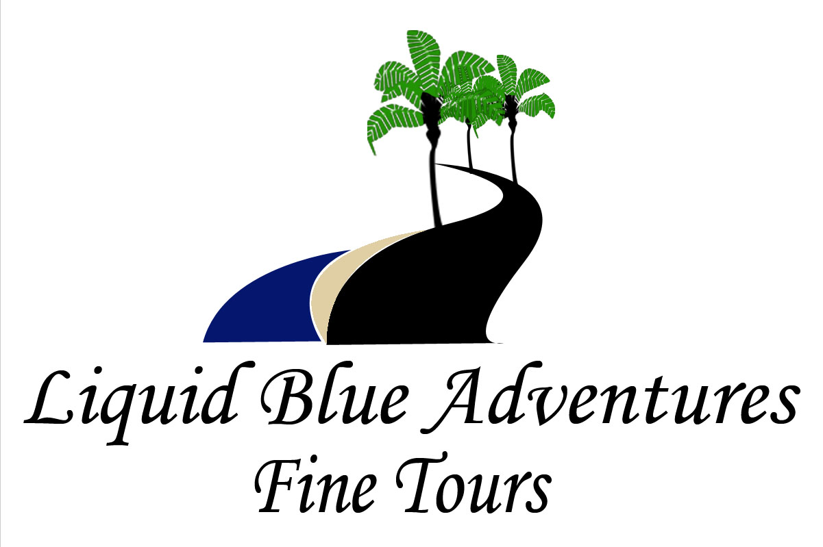 Design de Logo par amberlynn pour liquid blue adventures | Design #1081097