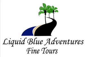 Logo Design by amberlynn