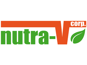 Logo Design by IT Design