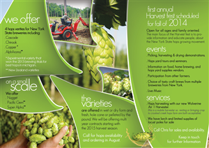 Summer 2014 brochure | Brochure Design by alessandroevge
