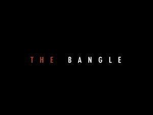 Logo Design by BrandGirl for this project | Design: #1176020