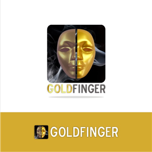 Logo Design by Gulzaar khan