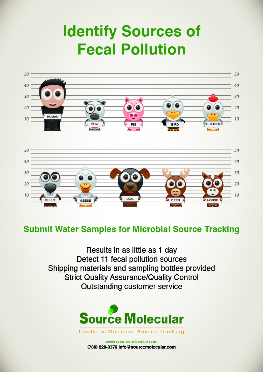 Poster Design by Diseno Advertising Pte Ltd for this project | Design #1088693