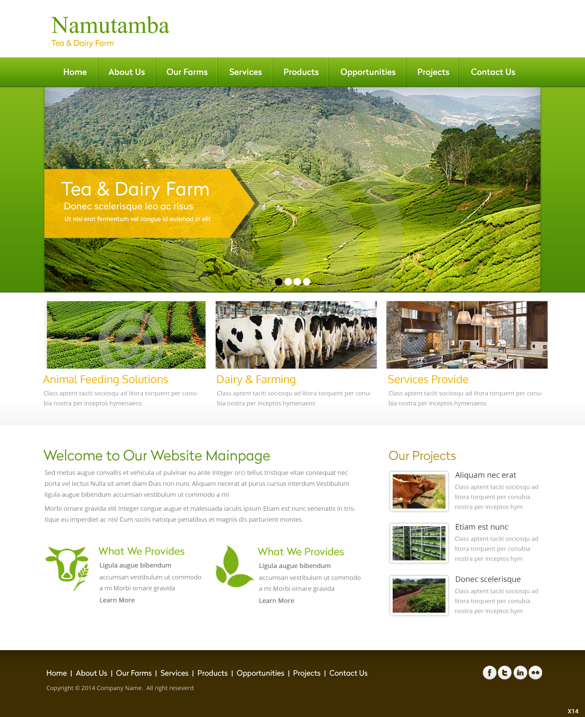 Web Design by pb for Jamjar Capital Corporation | Design #3977813
