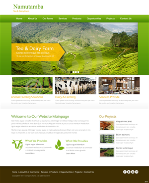 Web Design by pb for Jamjar Capital Corporation | Design: #3977813