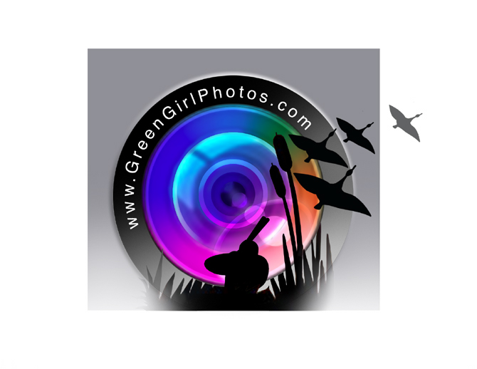 Logo Design by UpStart Design & Media for Green Girl Photos | Design #143254