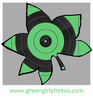 Logo Design by Jennifer Tatsch