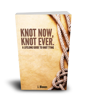Book Cover Design by RedOne22