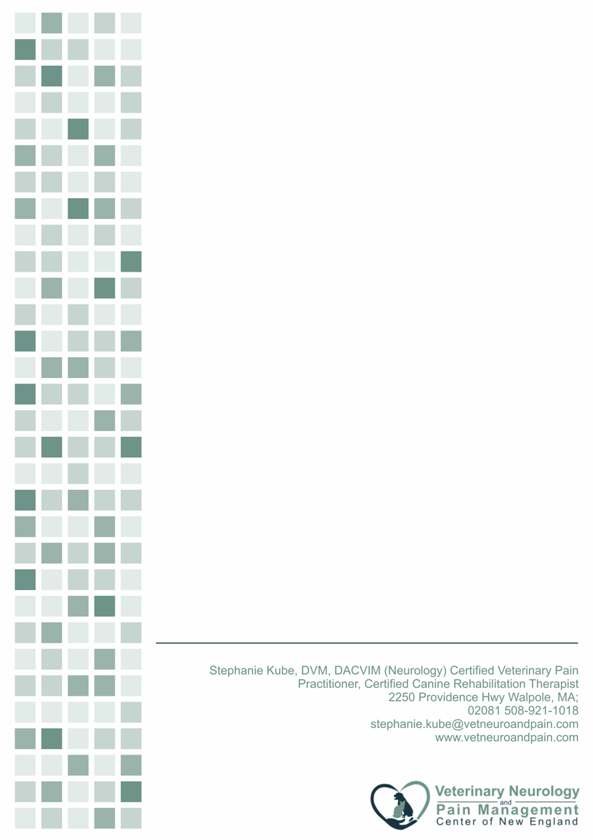 Letterhead Design by CreativePlanetoid for this project | Design #4050605