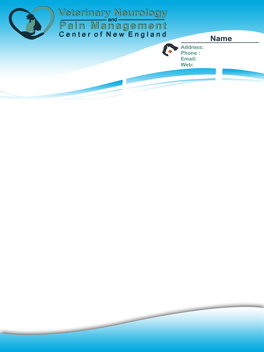 Letterhead Design by bhemzkiotic for this project | Design #3979140