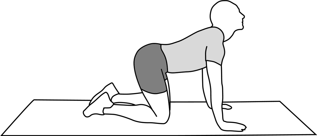 Illustration-Design von Sara für FUNDACION TECNALIA | Design #1127252