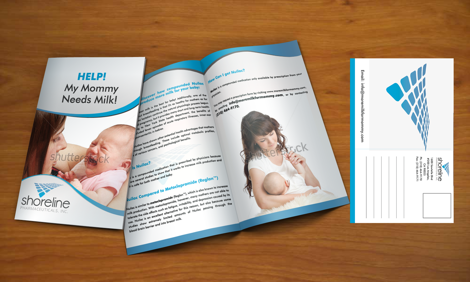 Brochure Design by Kate for this project | Design #1101076