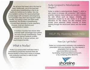 Brochure Design by TONI3449 for this project | Design: #1108670