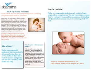 Brochure Design by AfrEeN~aPP for this project | Design: #1102524