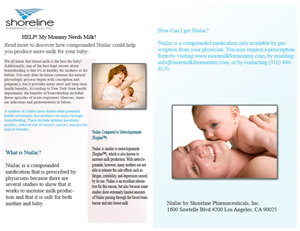 Brochure Design by AfrEeN~aPP for this project | Design: #1102528