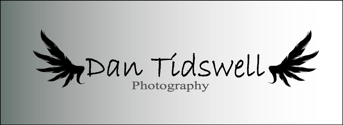 Logo Design by Airinia for this project | Design #3982031