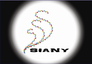 Logo Design by Grixel for SIANY | Design: #1112078
