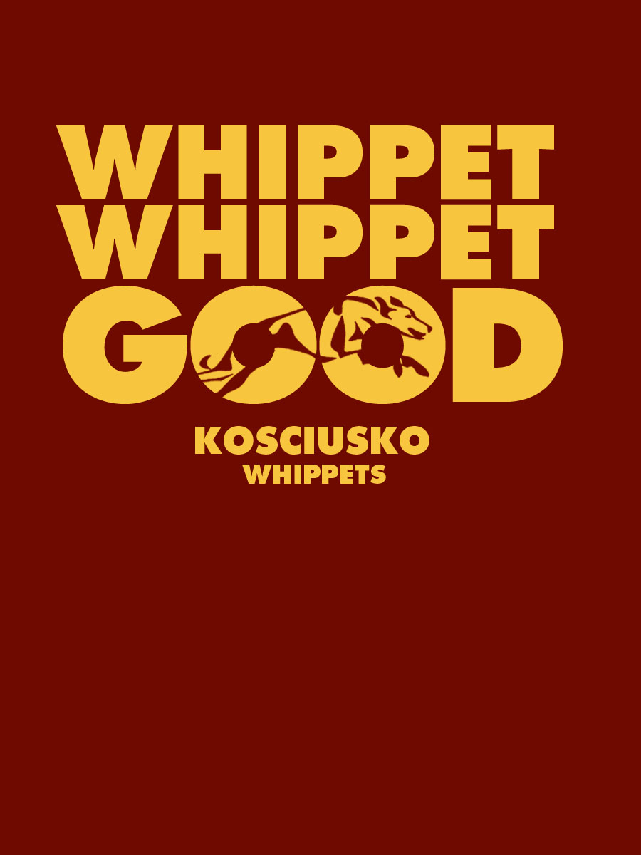 T-Shirt-Design von Coliseum Graphics für Powernet Inc. | Design #1107116