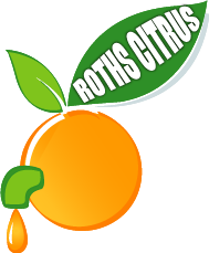 Logo Design by jaiprakash