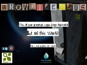 Poster Design by Kelly