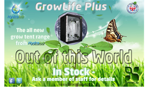 Poster Design by Giovanni