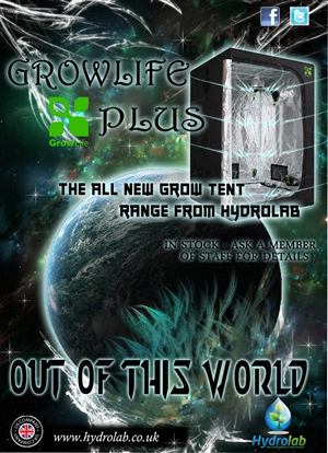 Poster Design by Andra Fetele