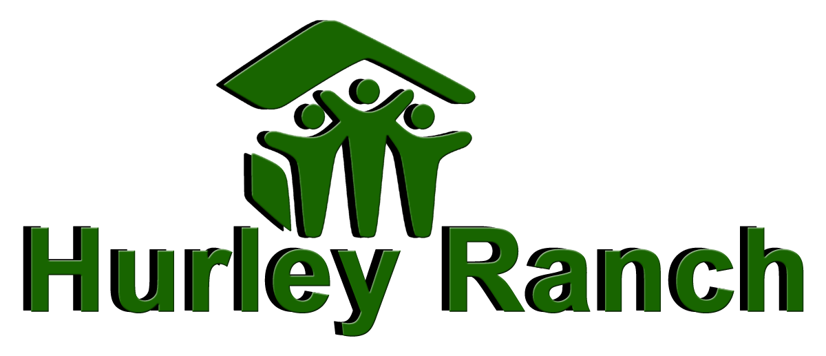 Logo Design by Ahmed Ripon for this project | Design #1081648