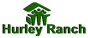 Logo Design by Ahmed Ripon for this project | Design #1081648