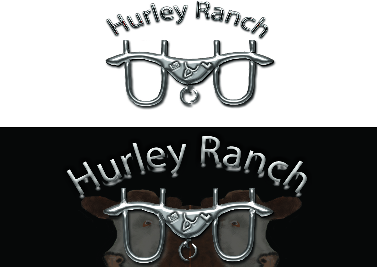 Logo Design by kazzgem for this project | Design #1082535
